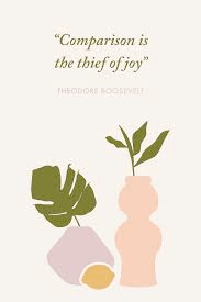 Comparison is the thief of joy - Theodore Roosevelt